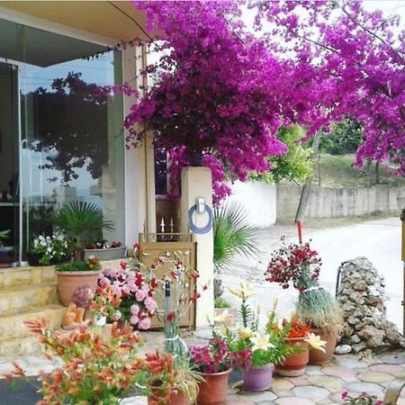 Hotel Ridal Vlorë Exteriér fotografie